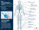 PRP for Pain Relief & Healing Marketing Brochure- Pack of 50